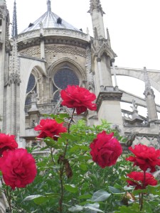 Notre-Dame Cathedral, Paris France