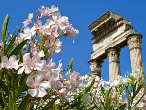 The Roman Forum, Rome, Italy