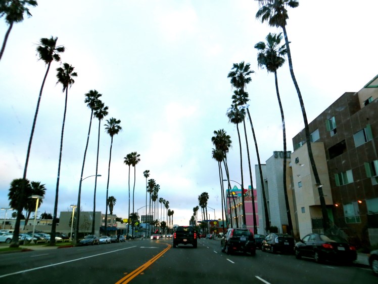 One of my favourite things about Los Angeles were the palm tree lined streets.  How do these tall, skinny trees not bend over and break?