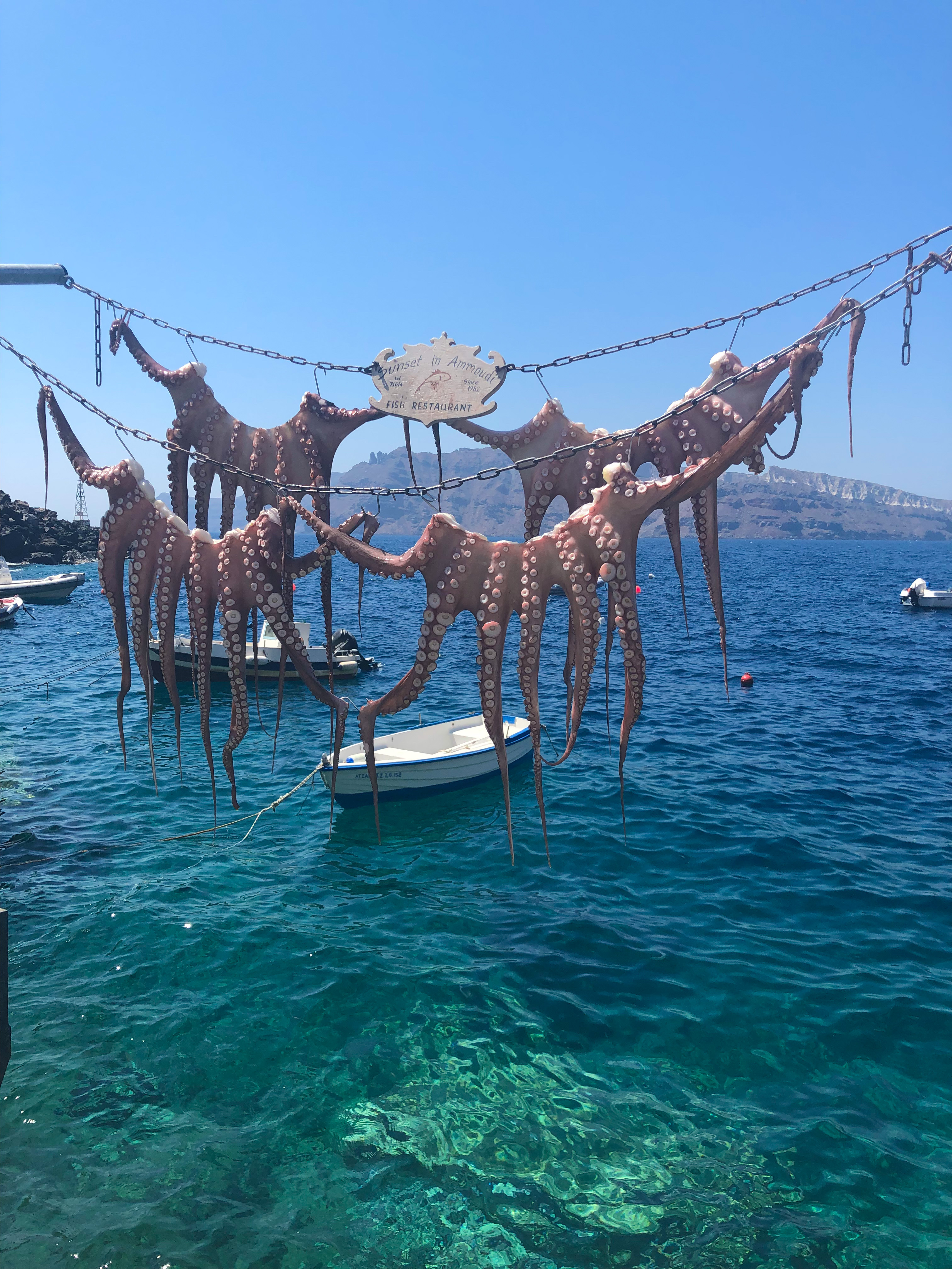 Octopus drying in the sun at Amoudi Bay, hanging over the water with boats anchored in the background.